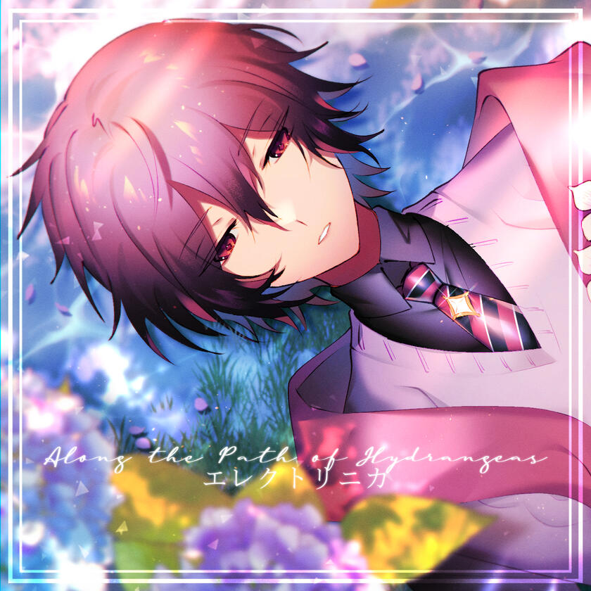 Along the Path of Hydrangeas